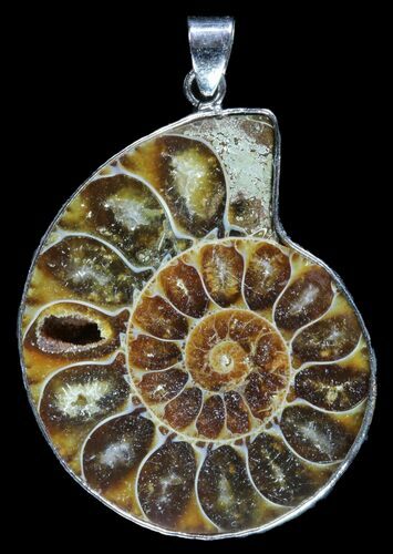 Fossil Ammonite Pendant - Million Years Old #89827